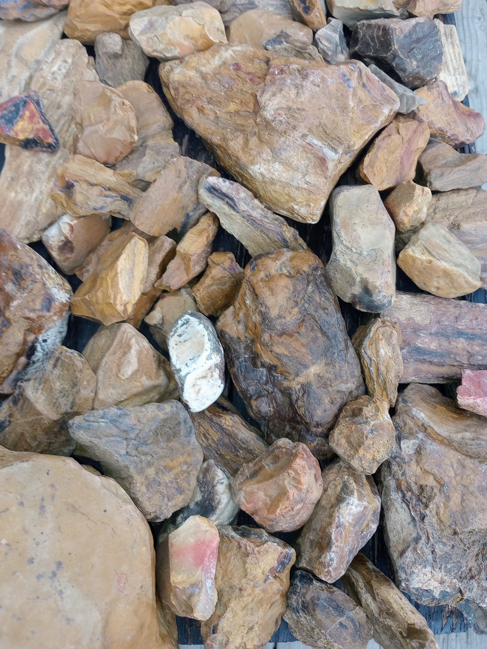 Raw Petrified Wood And Agate 1lb - Picture 4 of 10